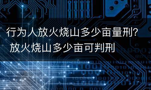 行为人放火烧山多少亩量刑？ 放火烧山多少亩可判刑