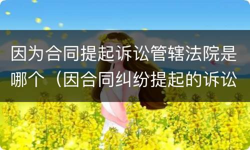 因为合同提起诉讼管辖法院是哪个（因合同纠纷提起的诉讼管辖权）