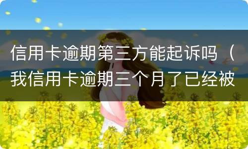 信用卡逾期第三方能起诉吗（我信用卡逾期三个月了已经被起诉了怎么办）
