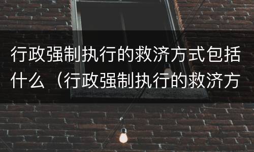 行政强制执行的救济方式包括什么（行政强制执行的救济方式包括什么和什么）