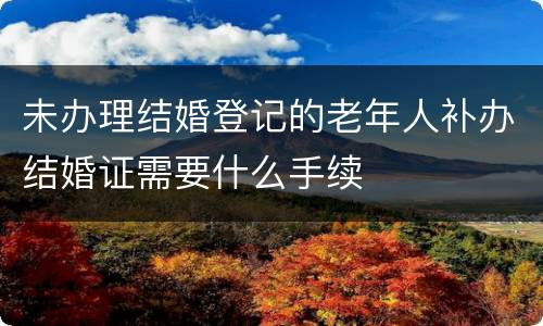 未办理结婚登记的老年人补办结婚证需要什么手续