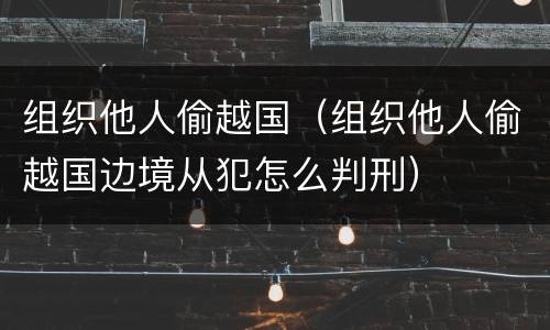组织他人偷越国（组织他人偷越国边境从犯怎么判刑）
