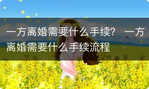 一方离婚需要什么手续？ 一方离婚需要什么手续流程