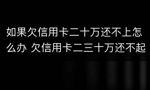 如果欠信用卡二十万还不上怎么办 欠信用卡二三十万还不起怎么办