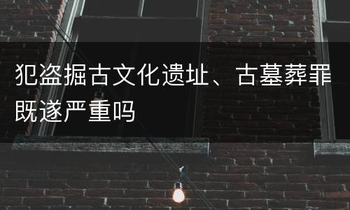 犯盗掘古文化遗址、古墓葬罪既遂严重吗