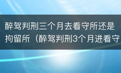 醉驾判刑三个月去看守所还是拘留所（醉驾判刑3个月进看守所可以探视吗）