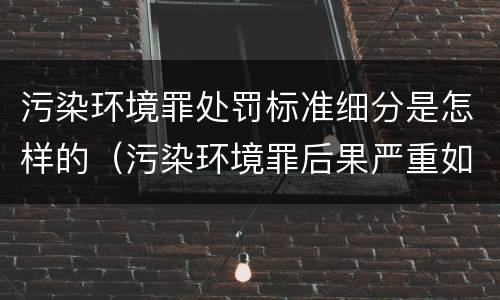 污染环境罪处罚标准细分是怎样的（污染环境罪后果严重如何界定）