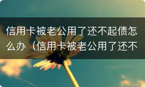 信用卡被老公用了还不起债怎么办（信用卡被老公用了还不起债怎么办理）