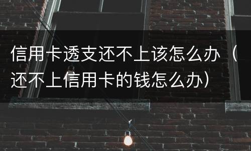 信用卡透支还不上该怎么办（还不上信用卡的钱怎么办）