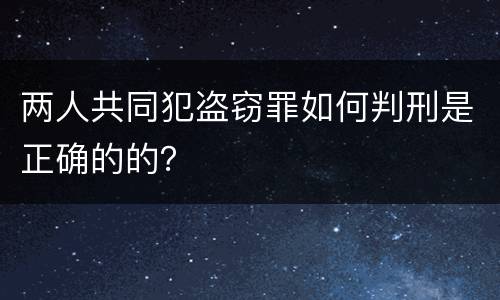 两人共同犯盗窃罪如何判刑是正确的的？