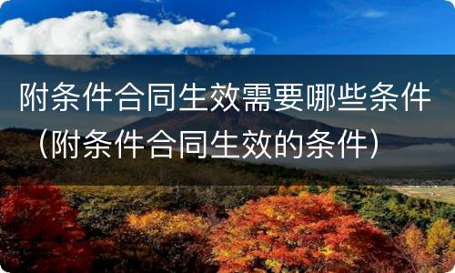 附条件合同生效需要哪些条件（附条件合同生效的条件）