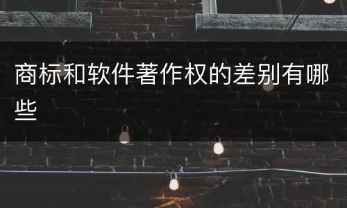 商标和软件著作权的差别有哪些