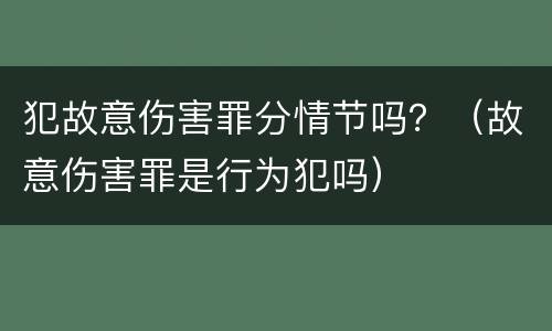 犯故意伤害罪分情节吗？（故意伤害罪是行为犯吗）