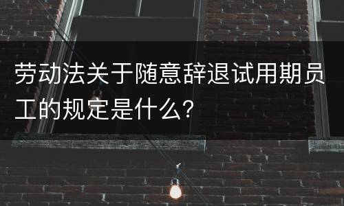 劳动法关于随意辞退试用期员工的规定是什么？