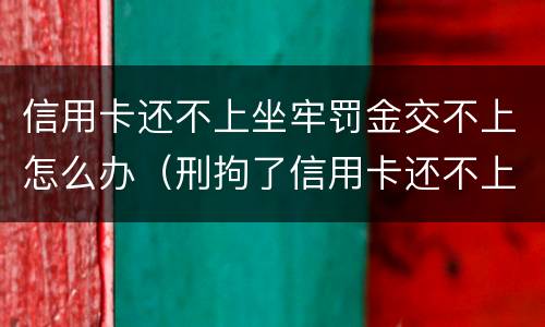 信用卡还不上坐牢罚金交不上怎么办（刑拘了信用卡还不上怎么办）