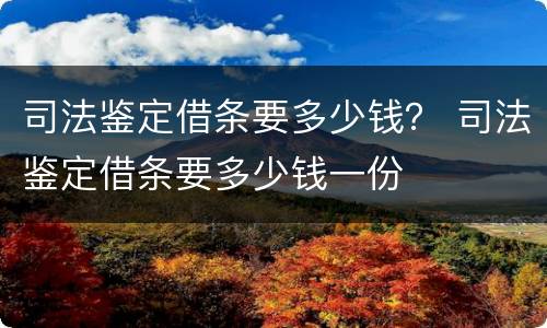 司法鉴定借条要多少钱？ 司法鉴定借条要多少钱一份