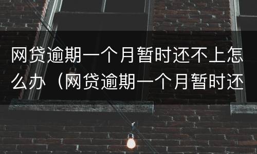 网贷逾期一个月暂时还不上怎么办（网贷逾期一个月暂时还不上怎么办哈尔滨）
