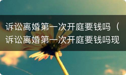 诉讼离婚第一次开庭要钱吗（诉讼离婚第一次开庭要钱吗现在）