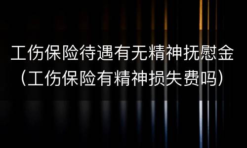 工伤保险待遇有无精神抚慰金（工伤保险有精神损失费吗）