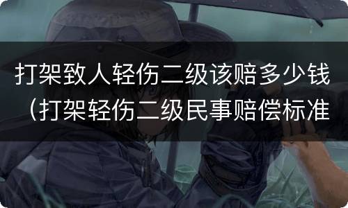 打架致人轻伤二级该赔多少钱（打架轻伤二级民事赔偿标准）