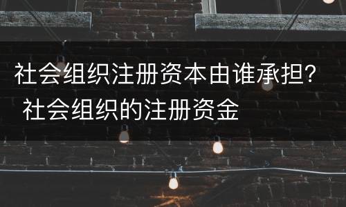 社会组织注册资本由谁承担？ 社会组织的注册资金