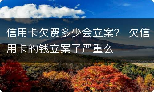 信用卡欠费多少会立案？ 欠信用卡的钱立案了严重么