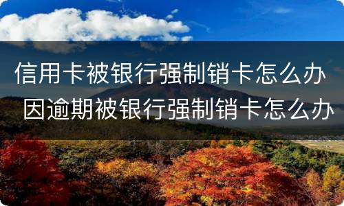 信用卡被银行强制销卡怎么办 因逾期被银行强制销卡怎么办