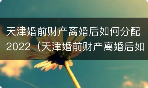 天津婚前财产离婚后如何分配2022（天津婚前财产离婚后如何分配2022年）