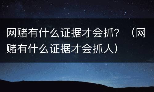 网赌有什么证据才会抓？（网赌有什么证据才会抓人）
