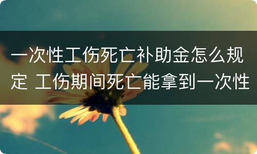 一次性工伤死亡补助金怎么规定 工伤期间死亡能拿到一次性伤残补助金吗