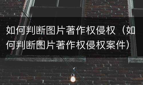 如何判断图片著作权侵权（如何判断图片著作权侵权案件）