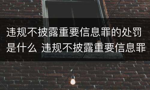违规不披露重要信息罪的处罚是什么 违规不披露重要信息罪的处罚是什么意思