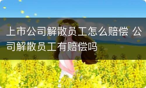 上市公司解散员工怎么赔偿 公司解散员工有赔偿吗