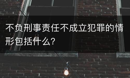 不负刑事责任不成立犯罪的情形包括什么？