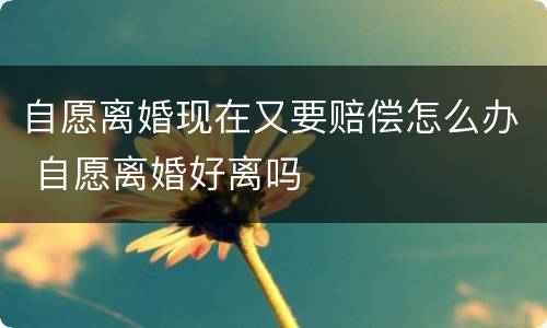 自愿离婚现在又要赔偿怎么办 自愿离婚好离吗