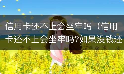 信用卡还不上会坐牢吗（信用卡还不上会坐牢吗?如果没钱还怎么办）