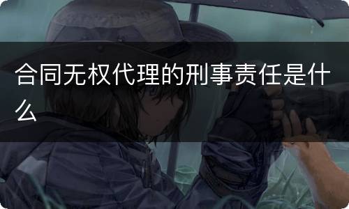 合同无权代理的刑事责任是什么