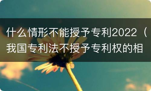 什么情形不能授予专利2022（我国专利法不授予专利权的相关规定）