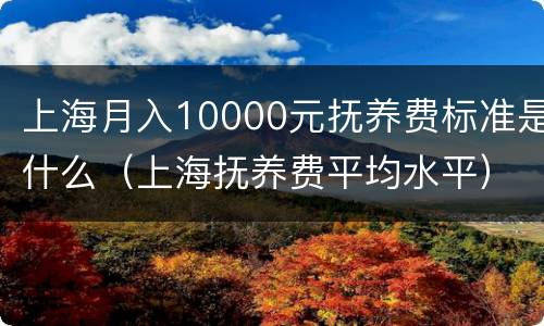 上海月入10000元抚养费标准是什么（上海抚养费平均水平）