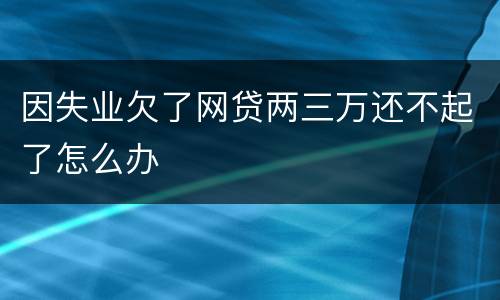 因失业欠了网贷两三万还不起了怎么办