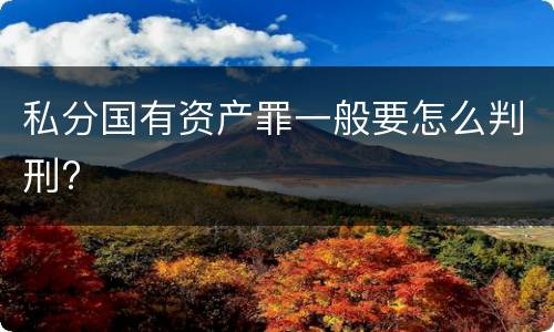 私分国有资产罪一般要怎么判刑?