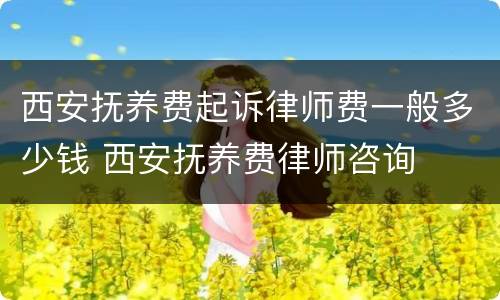 西安抚养费起诉律师费一般多少钱 西安抚养费律师咨询