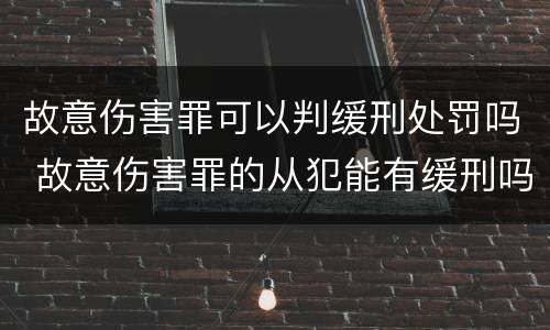 故意伤害罪可以判缓刑处罚吗 故意伤害罪的从犯能有缓刑吗