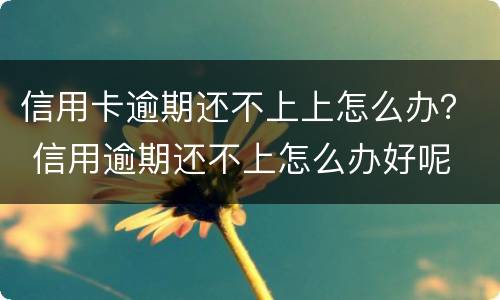 信用卡逾期还不上上怎么办？ 信用逾期还不上怎么办好呢