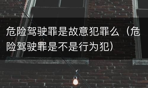 危险驾驶罪是故意犯罪么（危险驾驶罪是不是行为犯）