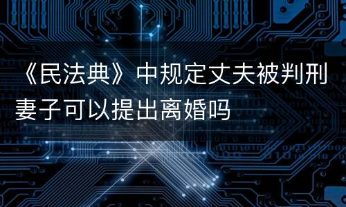 《民法典》中规定丈夫被判刑妻子可以提出离婚吗