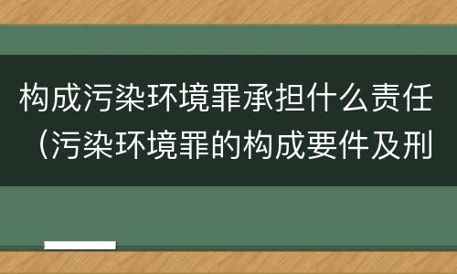 构成污染环境罪承担什么责任（污染环境罪的构成要件及刑事责任）