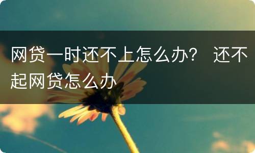 网贷一时还不上怎么办？ 还不起网贷怎么办