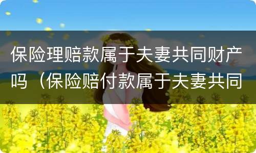 保险理赔款属于夫妻共同财产吗（保险赔付款属于夫妻共同财产吗）