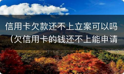 信用卡欠款还不上立案可以吗（欠信用卡的钱还不上能申请破产吗）